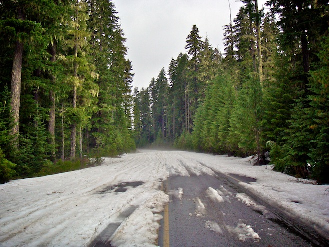 OR June Snow